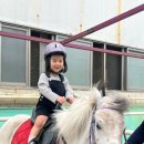 대경목장 이미지