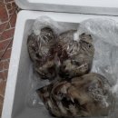 푸드어택 이미지