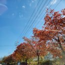 고석연가정의학과의원 이미지