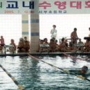 서부초교 이미지