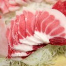 다보참치 이미지