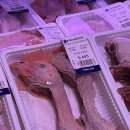 홀리몰리 이미지