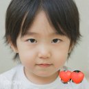 해피포스 | 셀린느 16백, 나이키 에어 포스 구매 후기, 해피 설날~!
