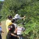 마지막골약수터 이미지