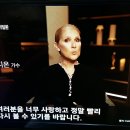 열성 이영양형 수포성 표피박리증 이미지