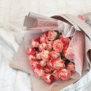 에이엠스튜디오 이미지