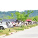 김해생림오토캠핑장 이미지