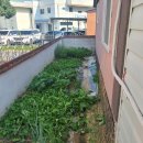 태산공인중개사무소 이미지