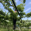 산포인력대기소