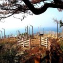 금오도황토민박 이미지