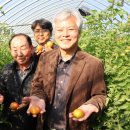 대저토마토산지유통센터 이미지