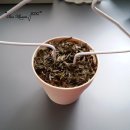 중앙세탁소 이미지