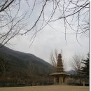 자옥이네 - 철원군 | 자옥이네