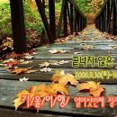 연미산 민박 Daum카페