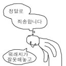 MBTI ST가 NT를 냉정하다 여기는 이유 이미지