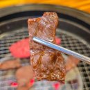 고향 | 정선 하이원 근처 한우 맛집 고향한우촌 살치살 후기