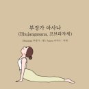 아사나요가 네이버블로그