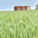 밀밭농장 이미지