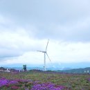 임실치즈펜션 | 거창맛집 거창카페 이수미팜베리 농가레스토랑 카페 펜션 재방문 : 임실치즈돈가스 후기