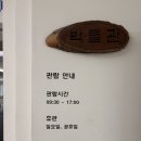 연세대학교박물관 | 신촌역 아이랑함께 가볼만한곳 연세대학교투어 (박물관,굿즈샵, 스타벅스)