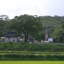 아영면 구상마을 이미지