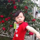 태호목장 이미지