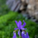 둥지민박 이미지