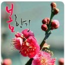 이누메 보미는 언제 올라나 이미지