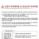 캣데이 이미지
