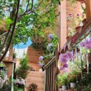 보테니컬 이미지