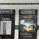 쇼당구장 | 홍천 비발디파크 마술쇼 후기