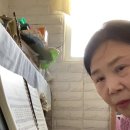찬송가191장~200장 이미지
