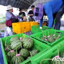 너래안농장 이미지