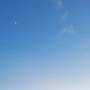 스파리조트 안단테 이미지