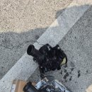 엠테크모터스 이미지