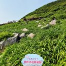 홍도야7080 | 홍도 해안탐방로(홍도 분교~해안데크길~원추리 군락지~전망대 ~내연발전소 코스)