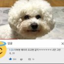 우보리