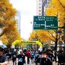 효령로 59-7 (1) | YTN 서울투어 마라톤 2025 10km 완주 후기(ft. PB 달성! 아쉽다 59초!!)