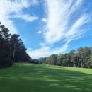 현충원로(유성-18) 이미지