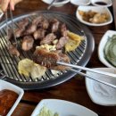 다대336장작구이 | 시원하게 즐기는 오션뷰! 🌴 다대포맛집 다대336장작구이 내돈내산 솔직후기 🔥 (애견동반 가능)