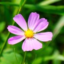 믿음행정사 이미지