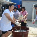 죽항도선착장 이미지