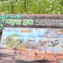 점동초안평분교장 | [경기 여주] 이곳은 뭐가 좋을까요? #점동초 #안평분교 #도시소멸 #폐교임대 #폐교캠핑