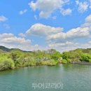 그린켐 이미지
