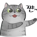 양지교통(주) 이미지