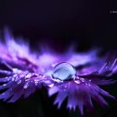 여량중학교 이미지