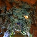 반디랜드 곤충박물관 | 무주 가볼 만한 곳 BEST! 아이와 함께라면 무주 반디랜드 곤충 박물관