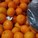 선화농원 이미지