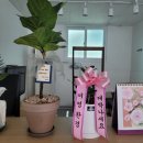 미영농장 이미지