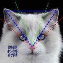 잘난돌스 이미지